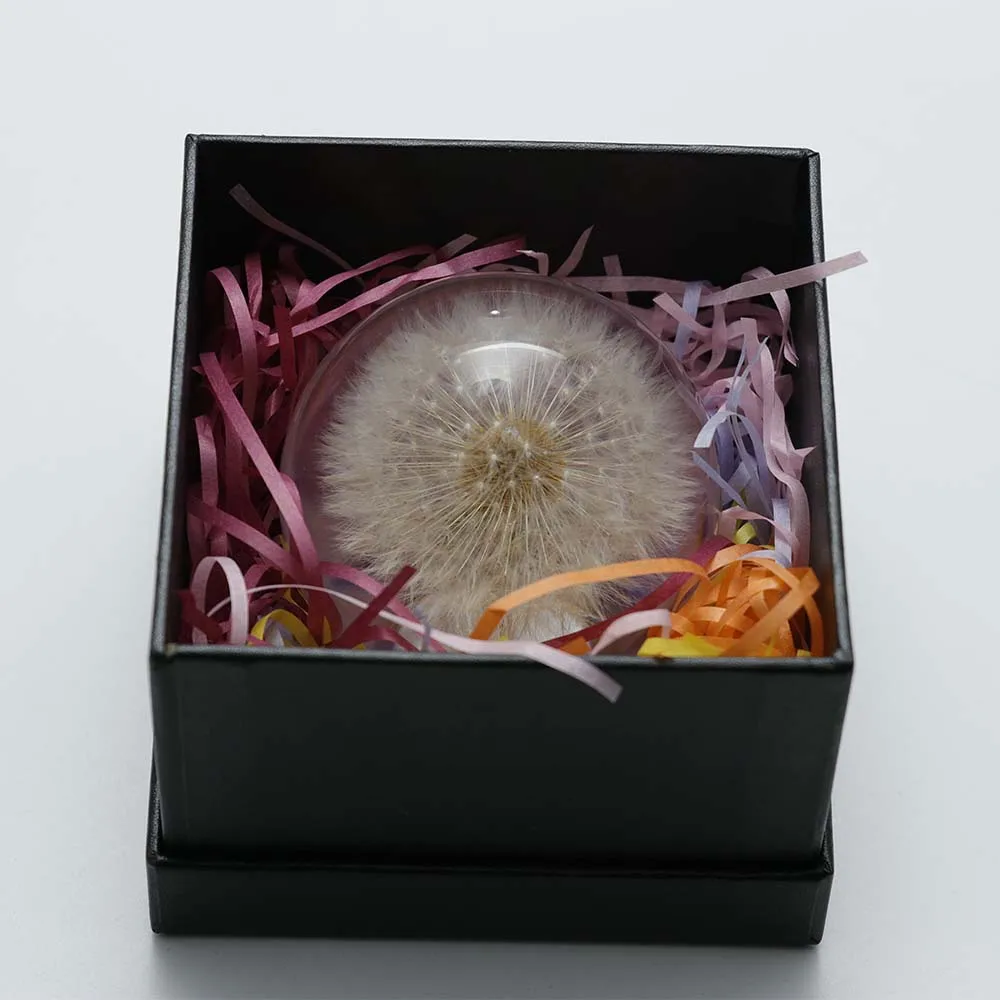 Biela Púpava Crystal Bublina Shift Radiacej Páky s Reálnymi Kvety, Priemer 70 mm Obrázok  2