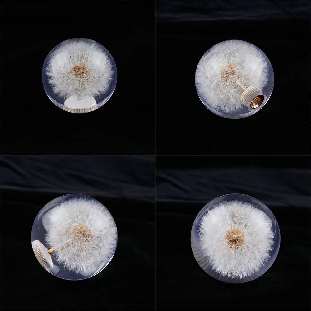 Biela Púpava Crystal Bublina Shift Radiacej Páky s Reálnymi Kvety, Priemer 70 mm Obrázok  4