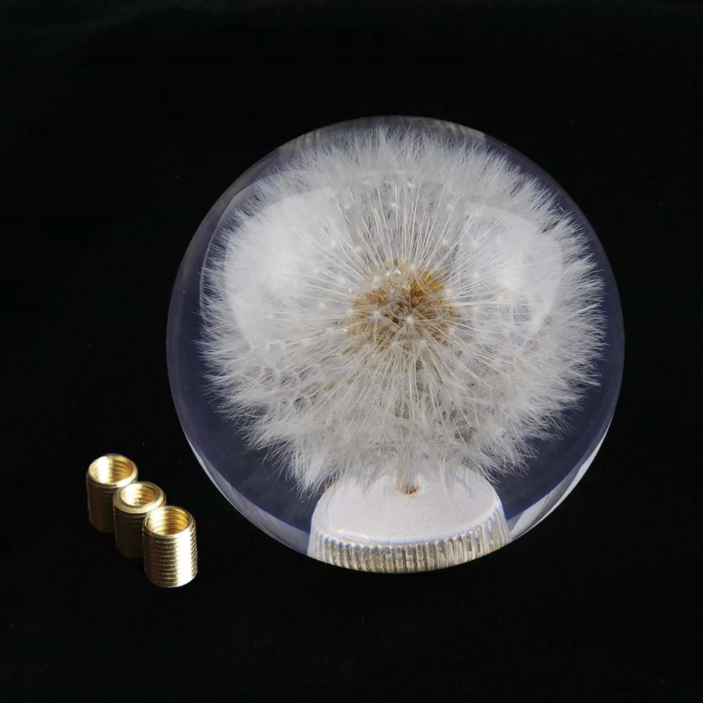 Biela Púpava Crystal Bublina Shift Radiacej Páky s Reálnymi Kvety, Priemer 70 mm Obrázok  5